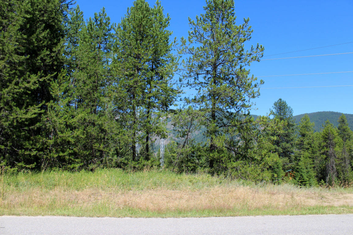 Nhn Marten Creek Road, Trout Creek, MT 59874