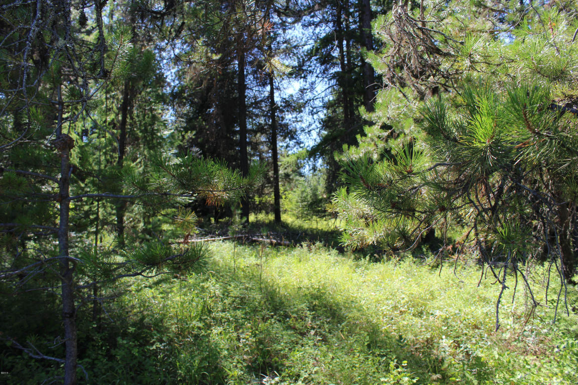 Nhn Marten Creek Road, Trout Creek, MT 59874