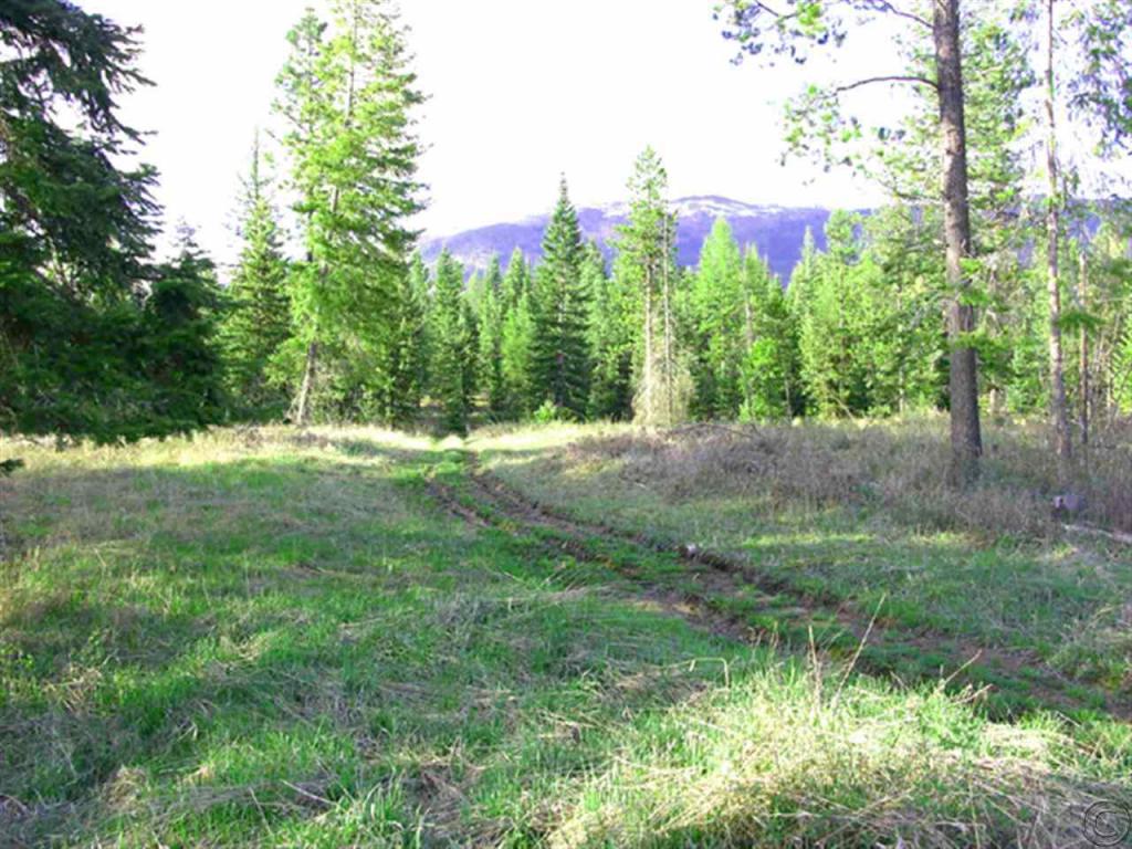 Nhn Swamp Creek Loop Road, Trout Creek, MT 59874