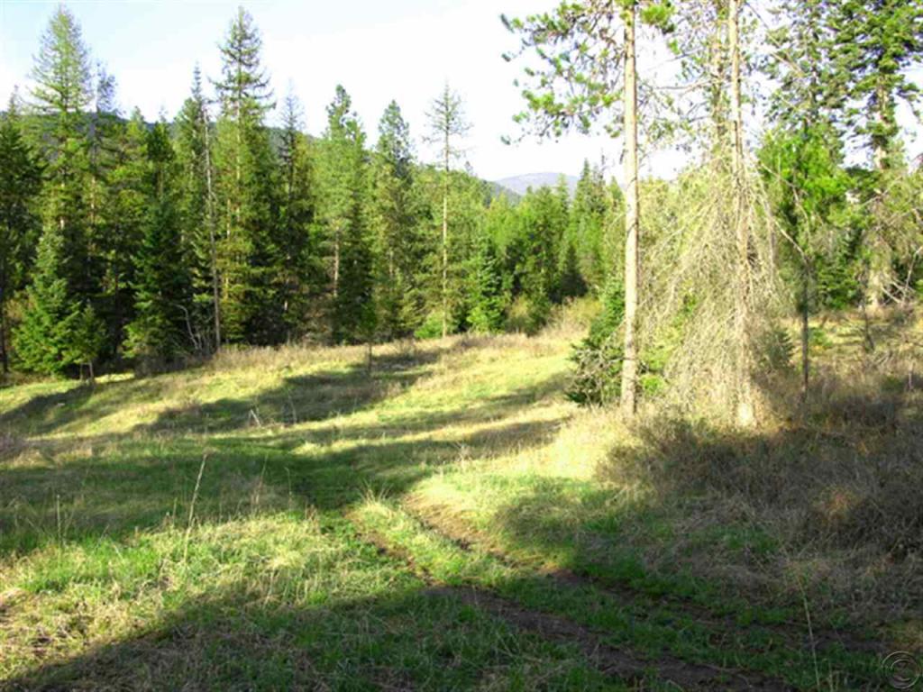 Nhn Swamp Creek Loop Road, Trout Creek, MT 59874
