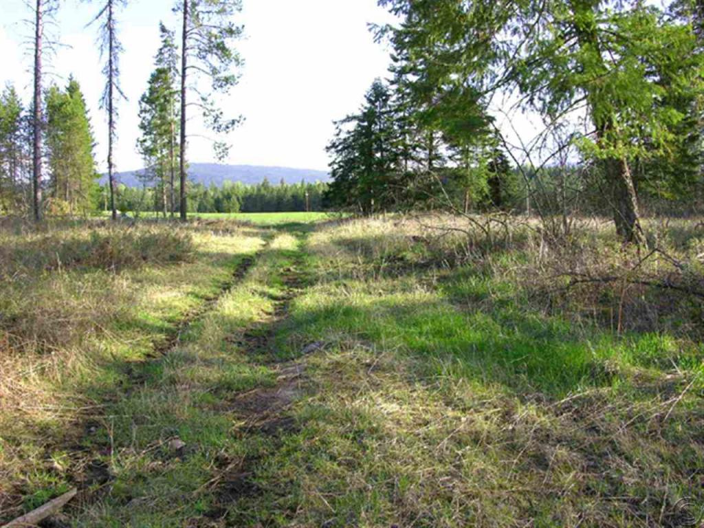 Nhn Swamp Creek Loop Road, Trout Creek, MT 59874