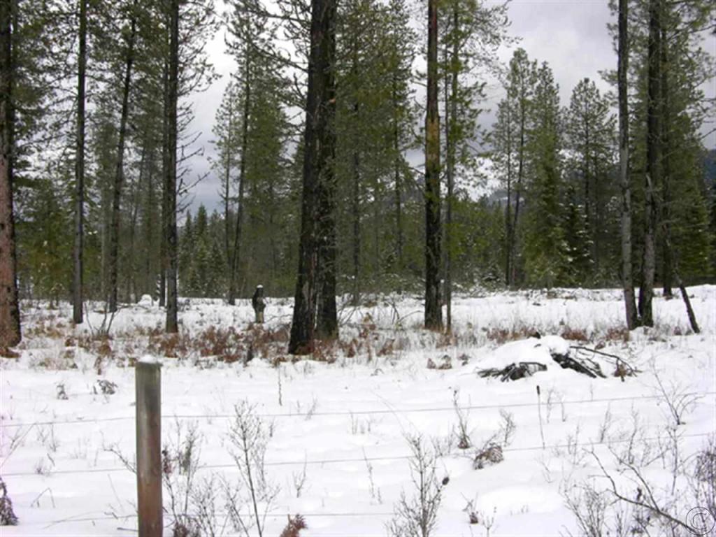 Nhn Swamp Creek Loop Road, Trout Creek, MT 59874