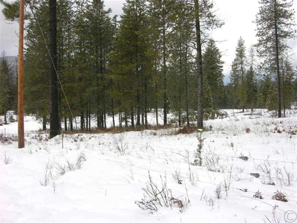 Nhn Swamp Creek Loop Road, Trout Creek, MT 59874