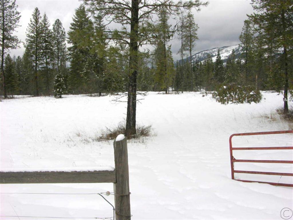 Nhn Swamp Creek Loop Road, Trout Creek, MT 59874