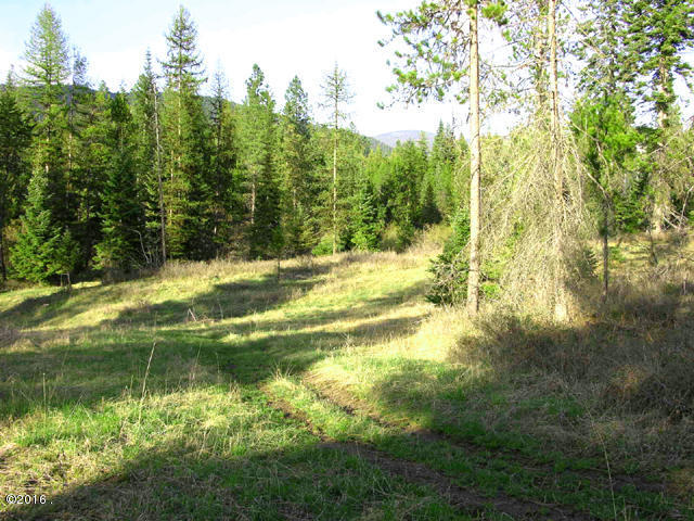 Nhn Swamp Creek Road, Trout Creek, MT 59874