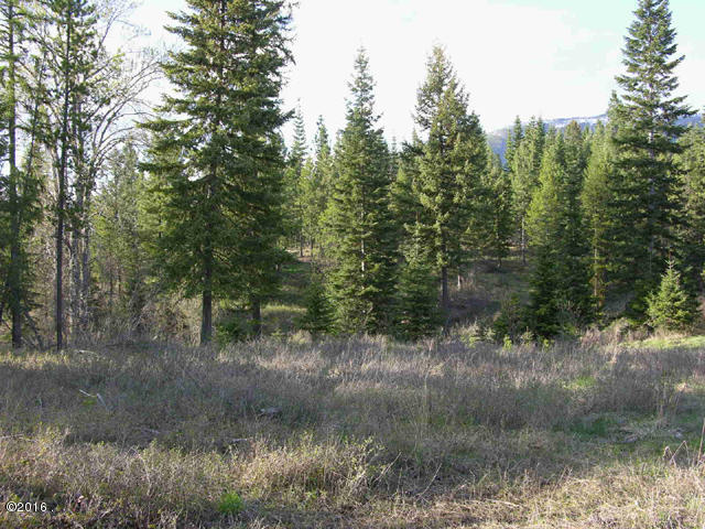 Nhn Swamp Creek Road, Trout Creek, MT 59874