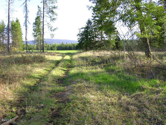 Nhn Swamp Creek Road, Trout Creek, MT 59874
