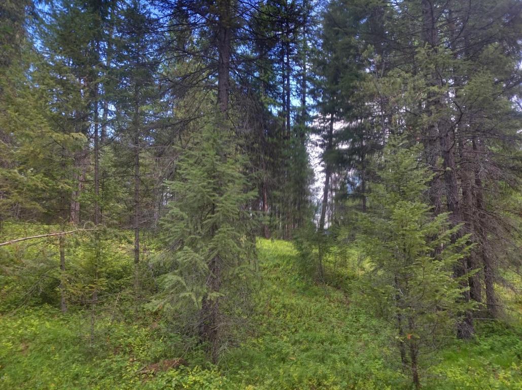 Nhn Deer Lane, Trout Creek, MT 59874
