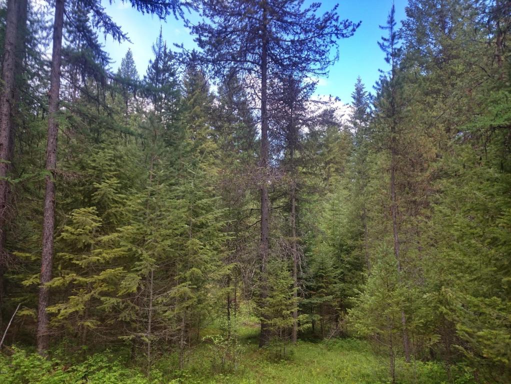 Nhn Deer Lane, Trout Creek, MT 59874