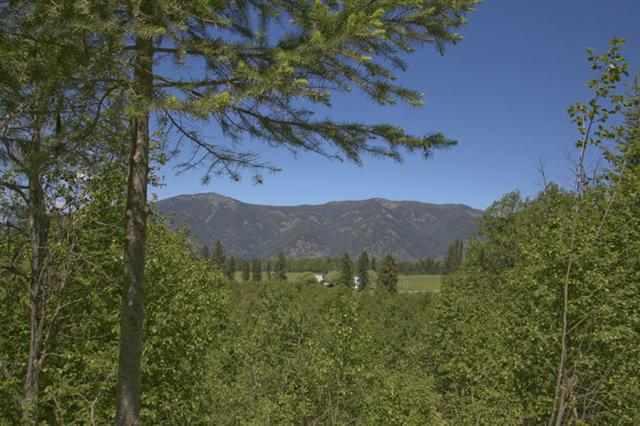 29 Dagny Court, Trout Creek, MT 59874