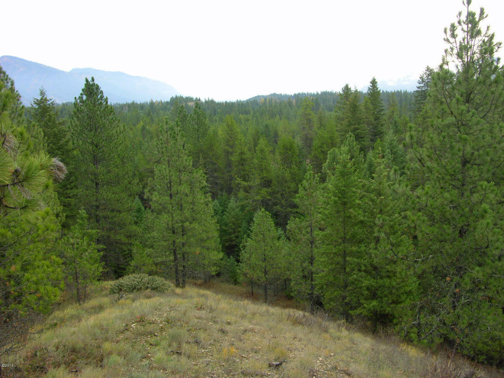 Nhn Little Bear Road, Trout Creek, MT 59874
