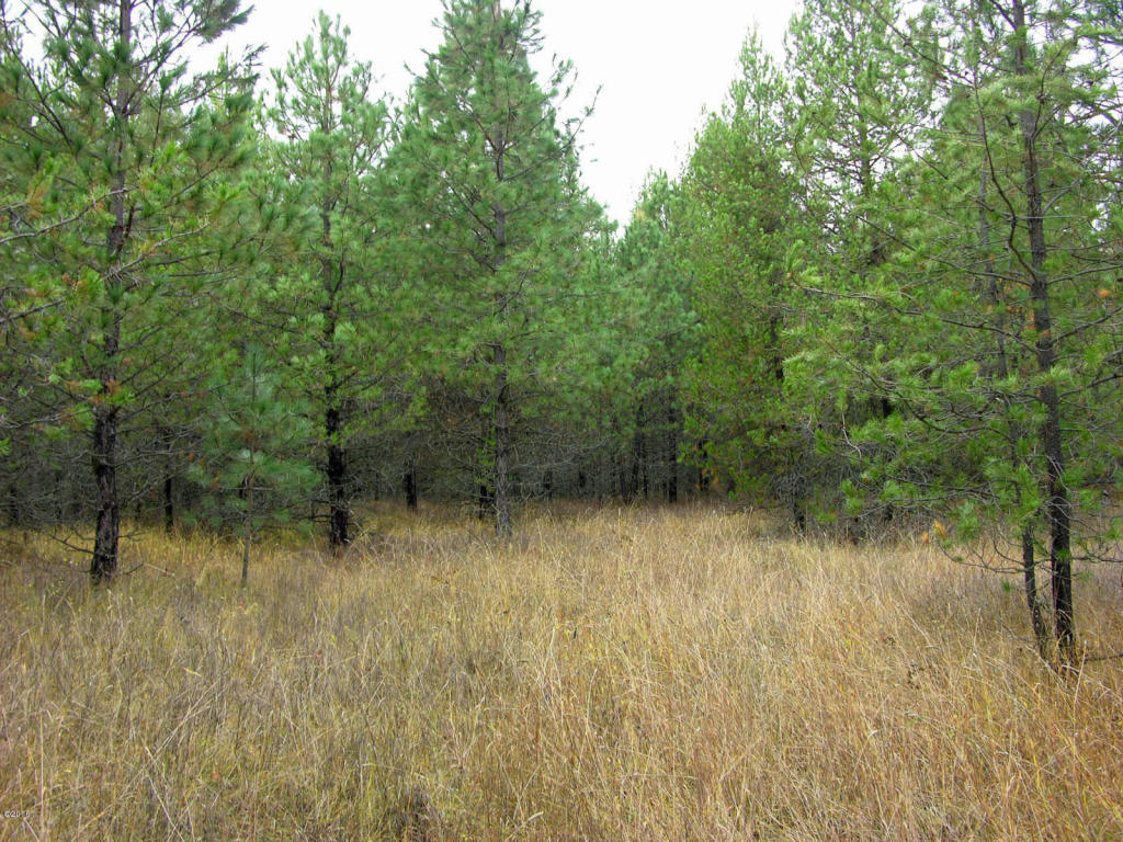 Nhn Little Bear Road, Trout Creek, MT 59874