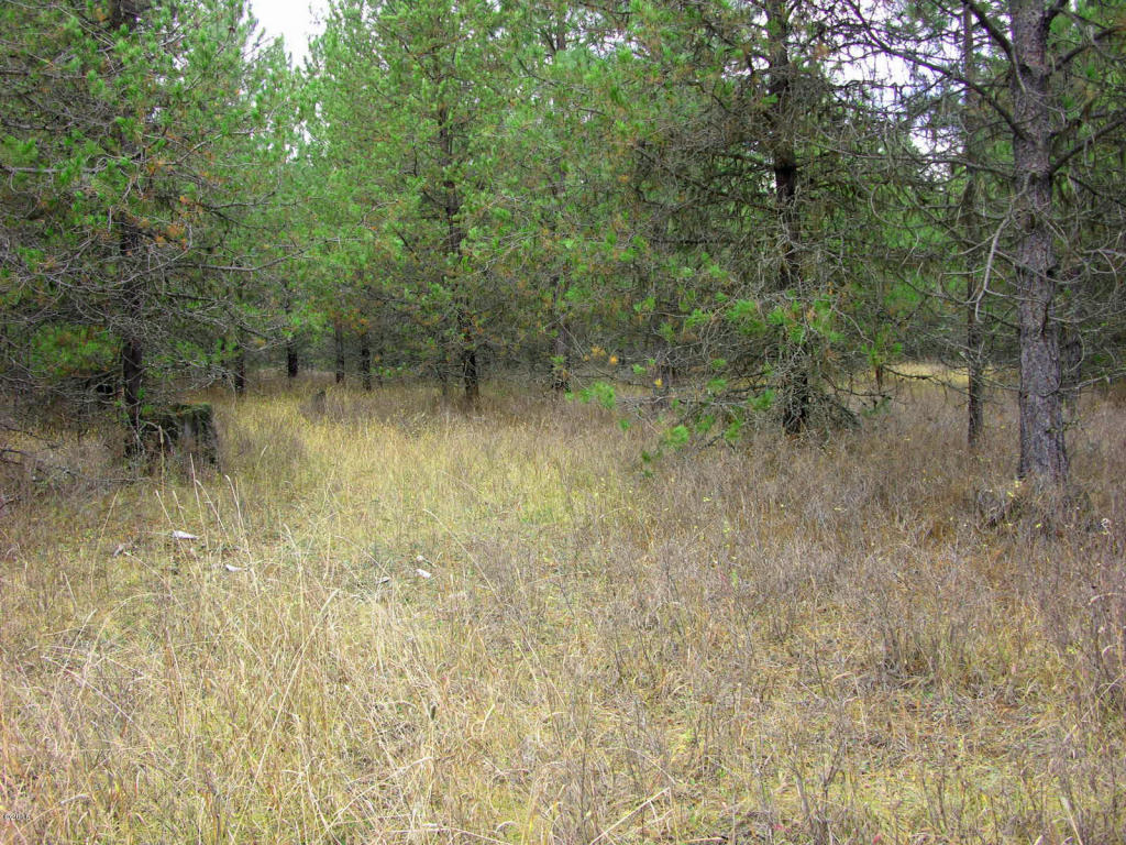 Nhn Little Bear Road, Trout Creek, MT 59874