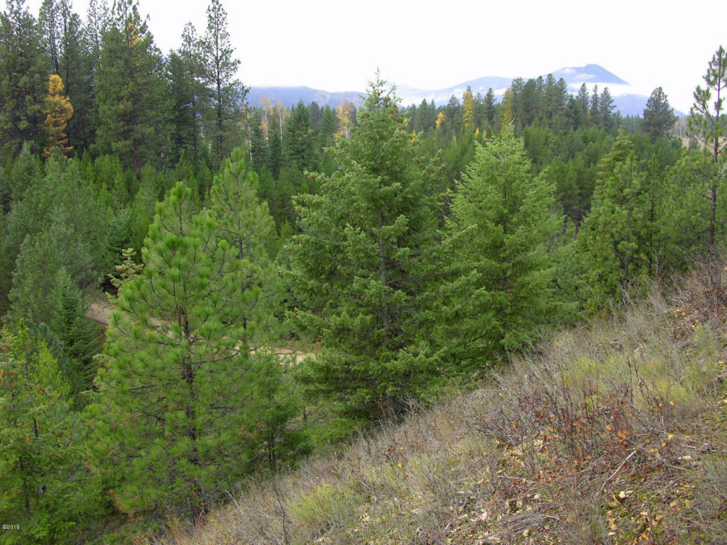 Nhn Little Bear Road, Trout Creek, MT 59874