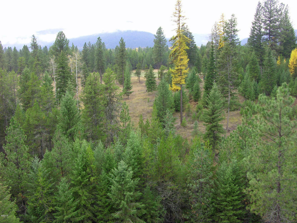Nhn Little Bear Road, Trout Creek, MT 59874