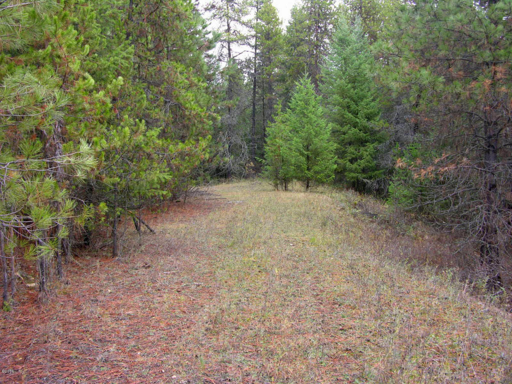 Nhn Little Bear Road, Trout Creek, MT 59874