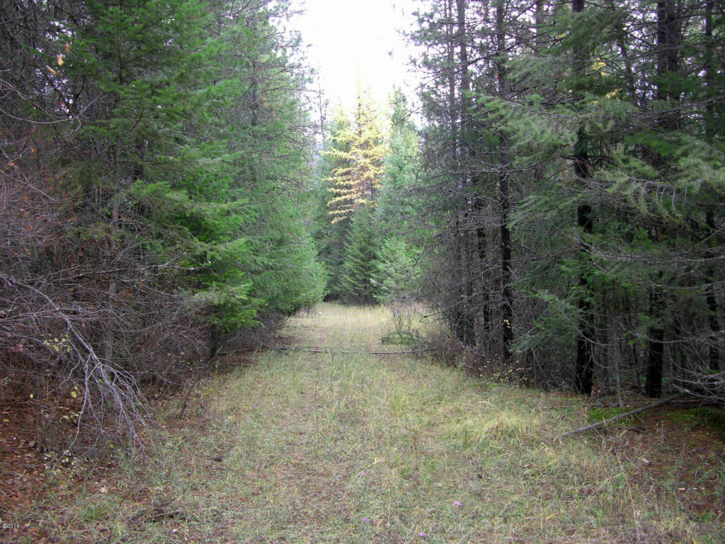 Nhn Little Bear Road, Trout Creek, MT 59874