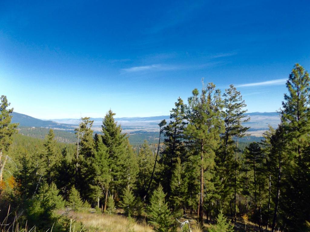 00Elizabeth RD, Victor, MT 59875