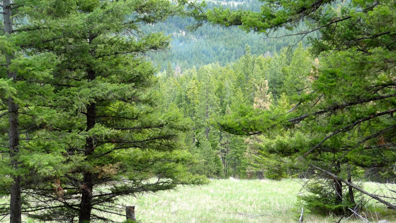 00Elizabeth RD, Victor, MT 59875