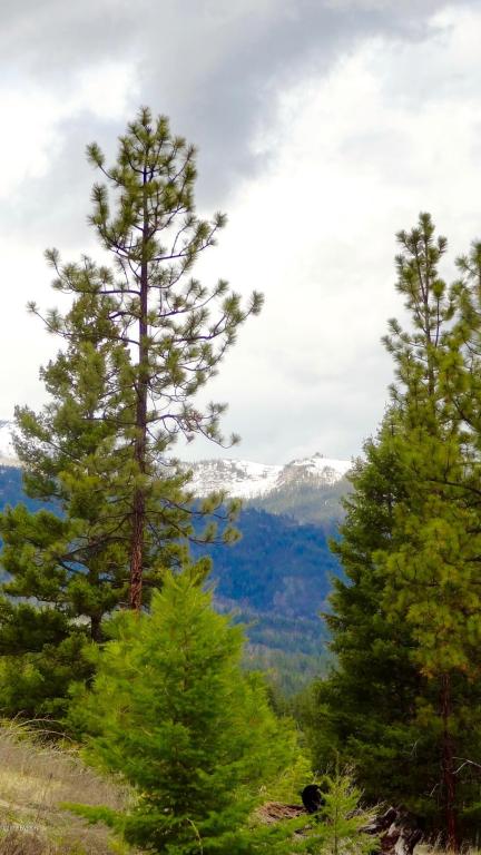 00Elizabeth RD, Victor, MT 59875