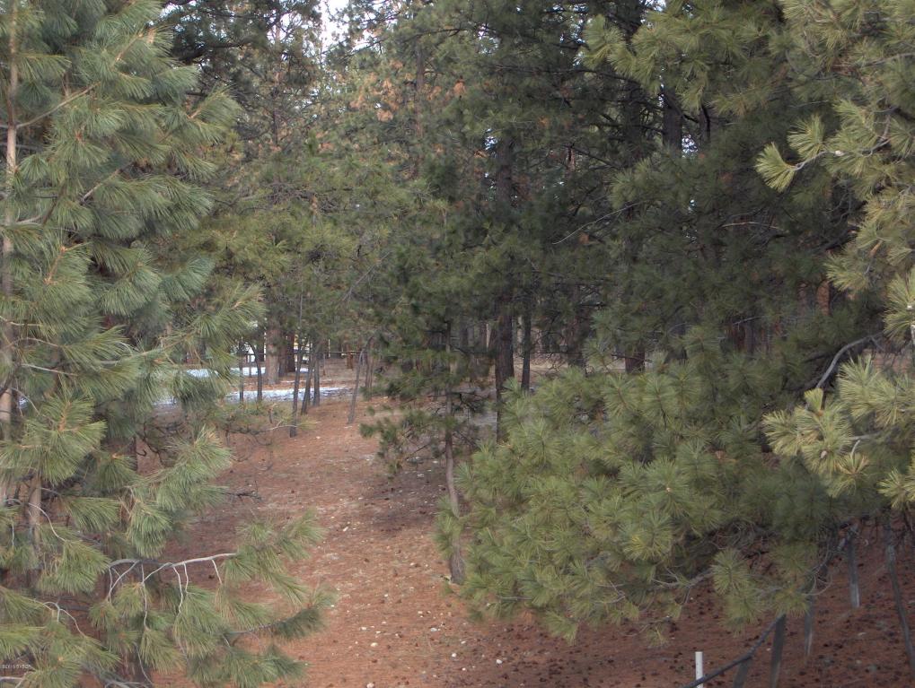 NknFred Burr, Victor, MT 59875