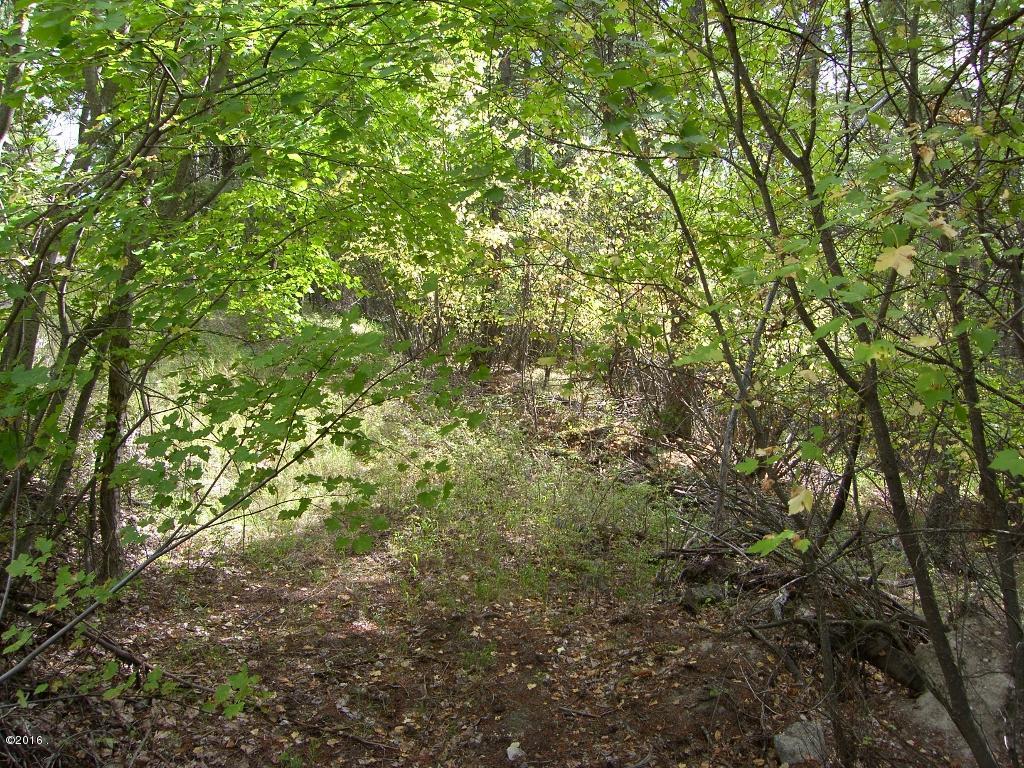 Nhn Cosmos Lane, Kalispell, MT 59901