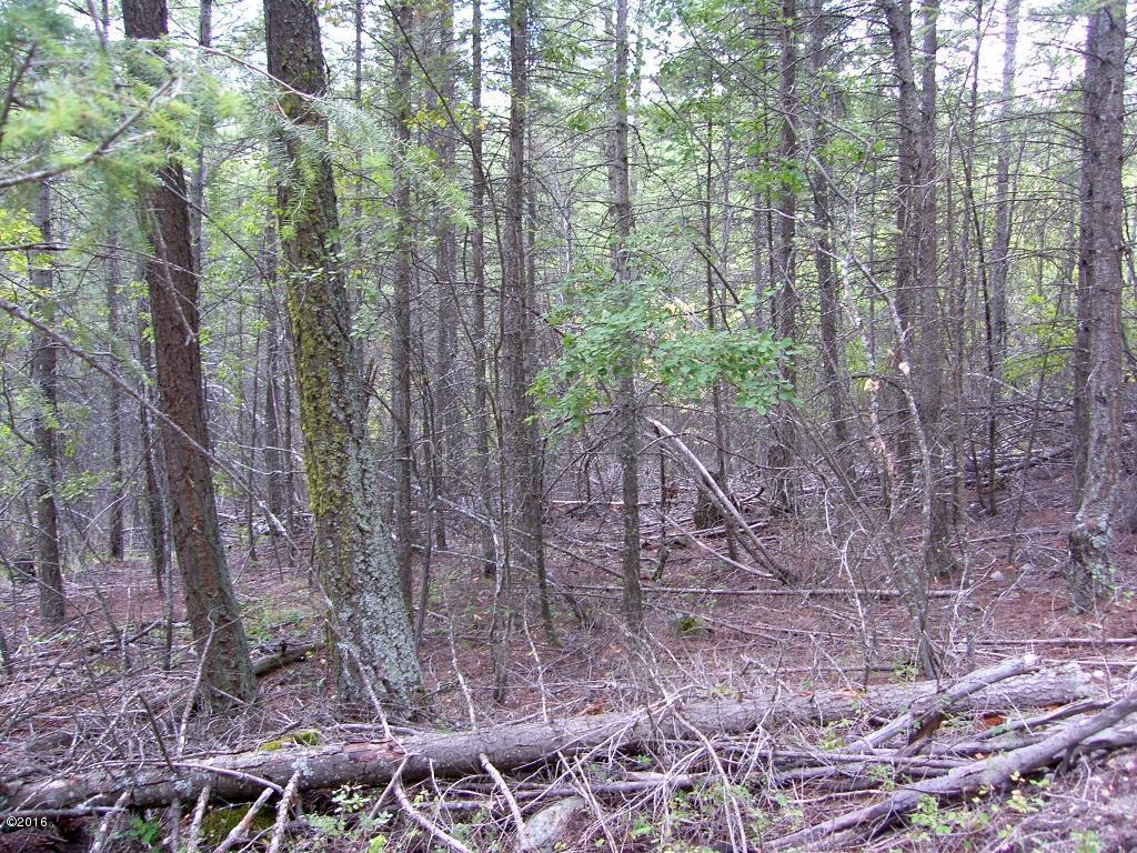 Nhn Cosmos Lane, Kalispell, MT 59901