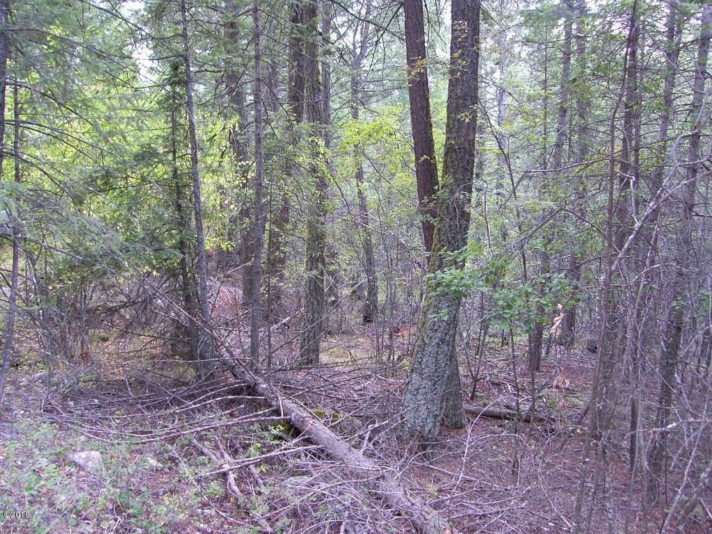 Nhn Cosmos Lane, Kalispell, MT 59901