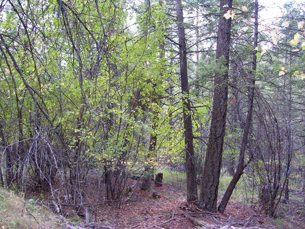 Nhn Cosmos Lane, Kalispell, MT 59901