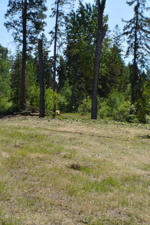 544 East Evergreen Drive, Kalispell, MT 59901