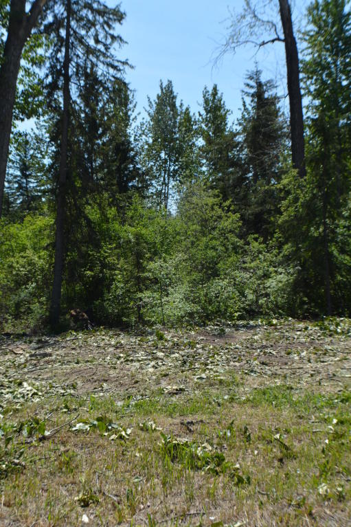 544 East Evergreen Drive, Kalispell, MT 59901