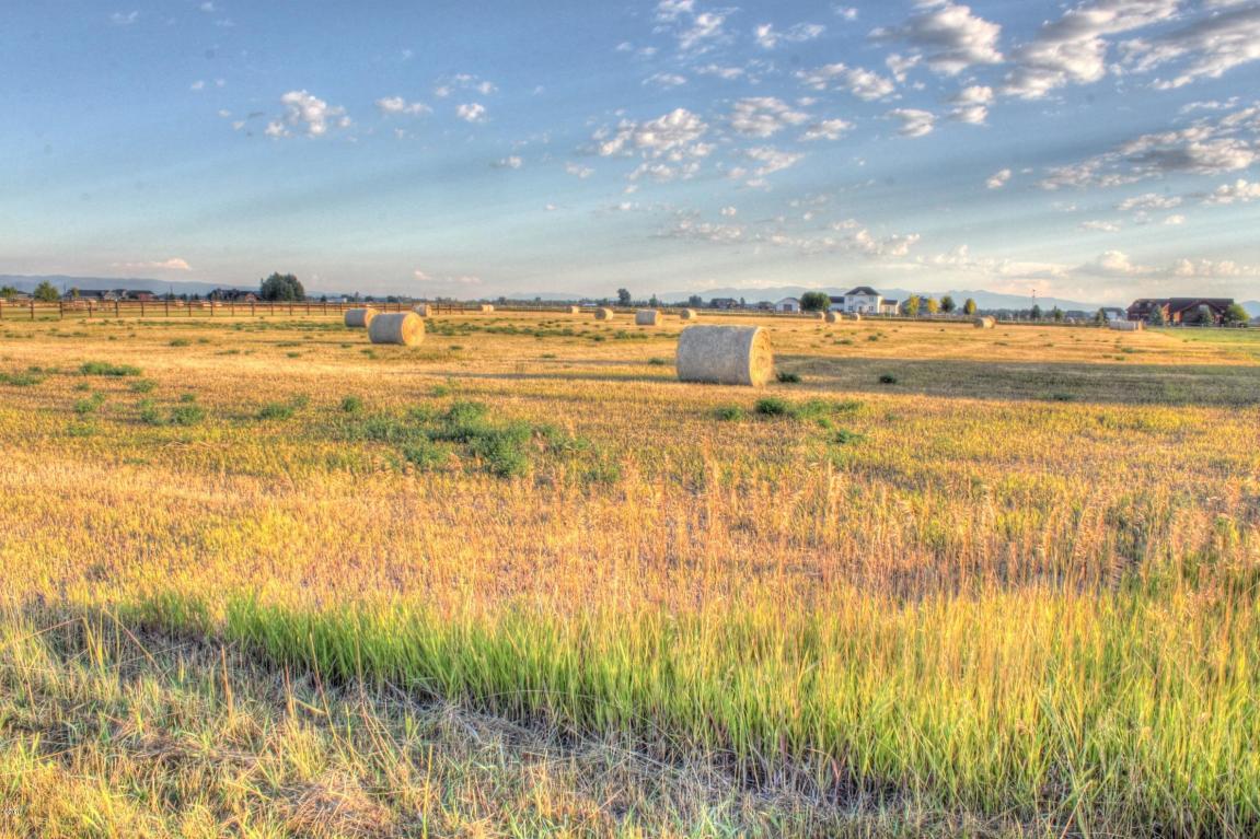 1135 Pheasant Haven Drive, Kalispell, MT 59901