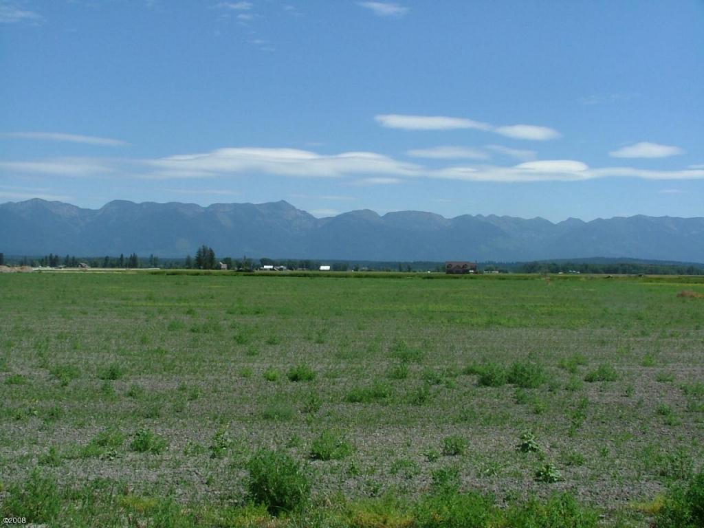 1135 Pheasant Haven Drive, Kalispell, MT 59901