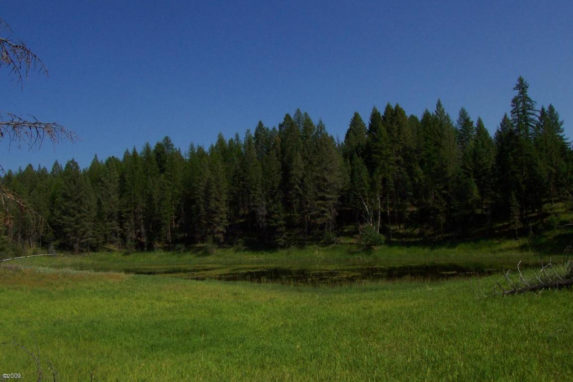 324 Kathy Lake Lane, Kalispell, MT 59901