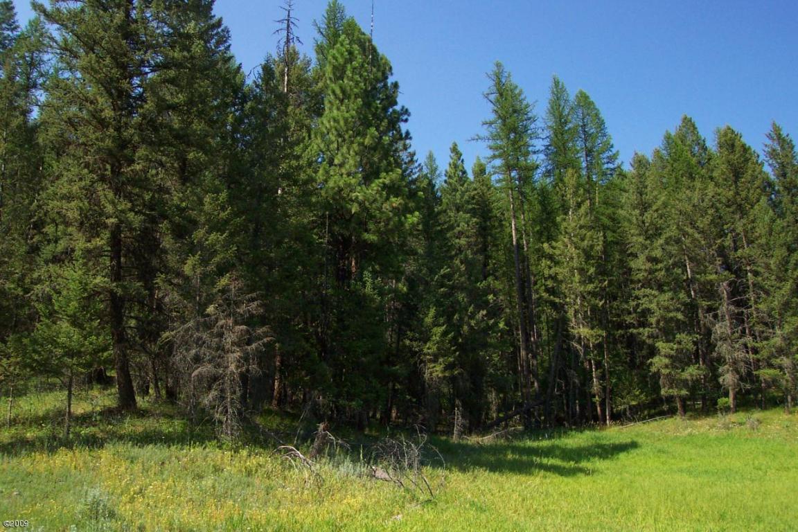 324 Kathy Lake Lane, Kalispell, MT 59901