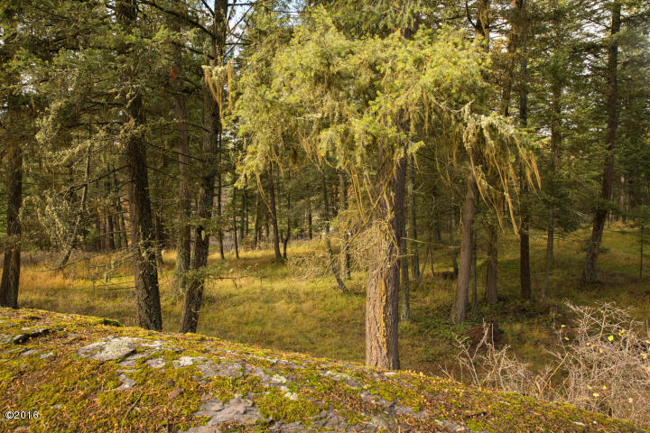 1364 Bigfork Stage, Bigfork, MT 59911