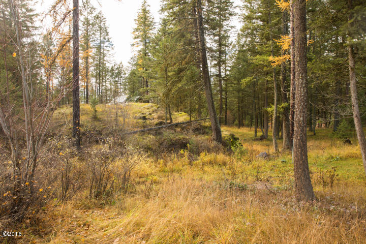 1364 Bigfork Stage, Bigfork, MT 59911