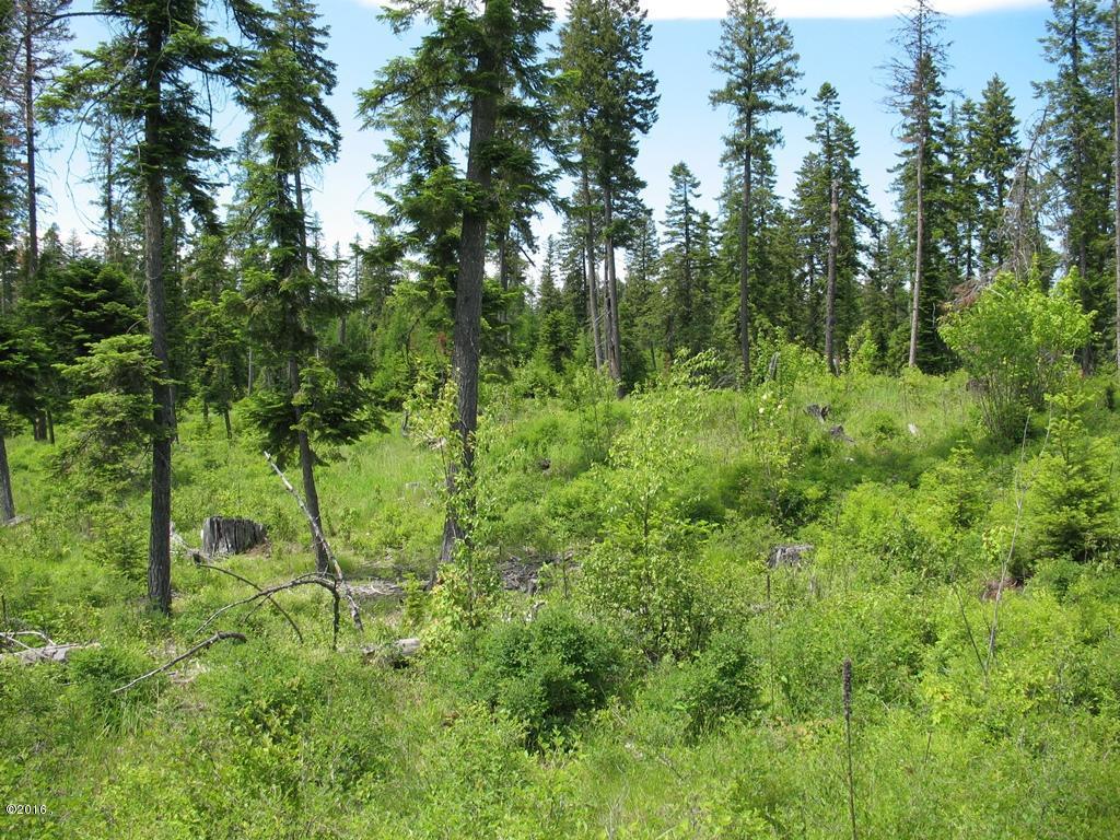 Nhn Sundance Trail, Bigfork, MT 59911