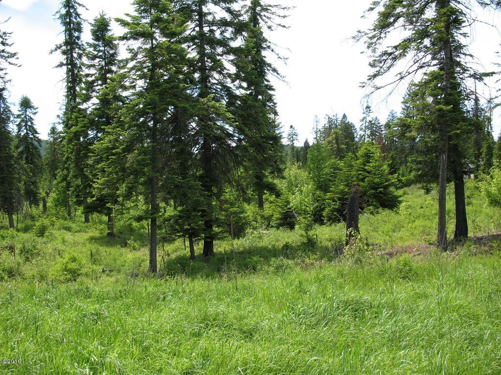 Nhn Sundance Trail, Bigfork, MT 59911