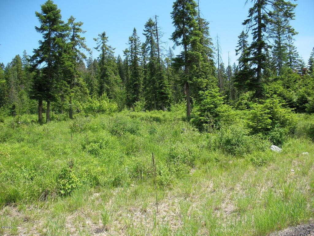 Nhn Sundance Trail, Bigfork, MT 59911