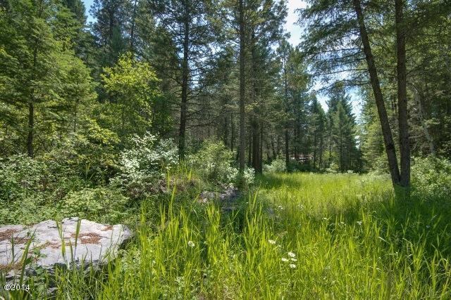 Nhn Hwy 35, Bigfork, MT 59911