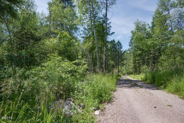 Nhn Hwy 35, Bigfork, MT 59911