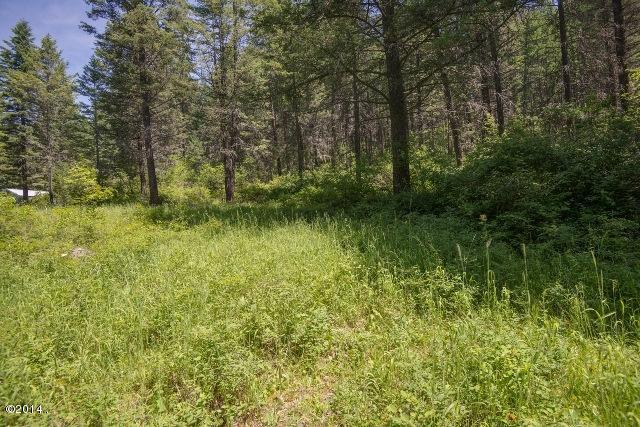 Nhn Hwy 35, Bigfork, MT 59911