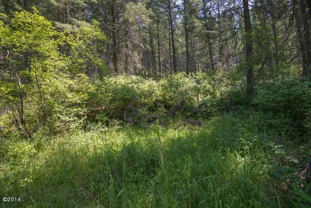 Nhn Hwy 35, Bigfork, MT 59911