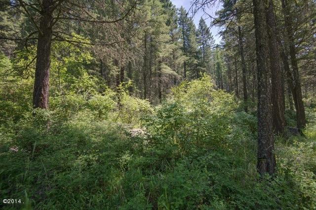 Nhn Hwy 35, Bigfork, MT 59911