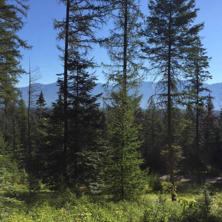 146 Mccaffery Lookout Trail, Bigfork, MT 59911