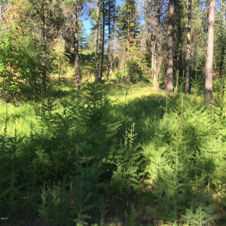 146 Mccaffery Lookout Trail, Bigfork, MT 59911