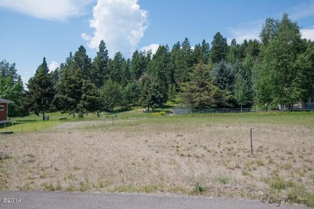 31 Crossbuck Trail, Bigfork, MT 59911