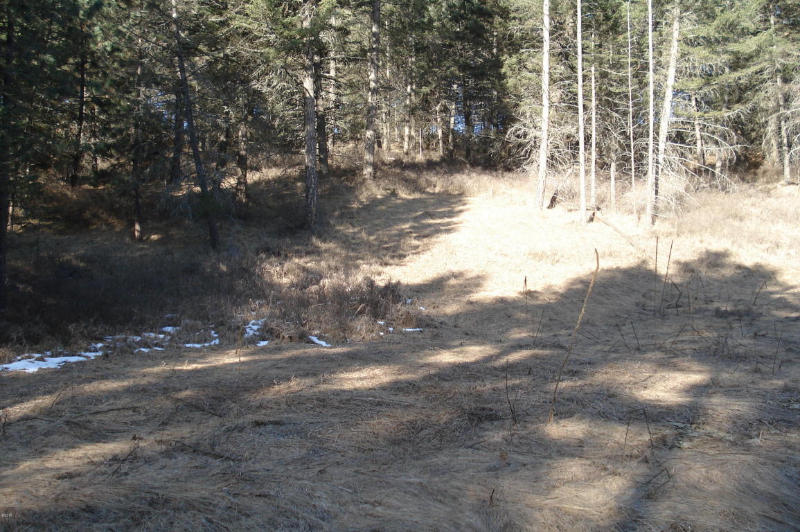 Nhn Great Bear Loop, Bigfork, MT 59911