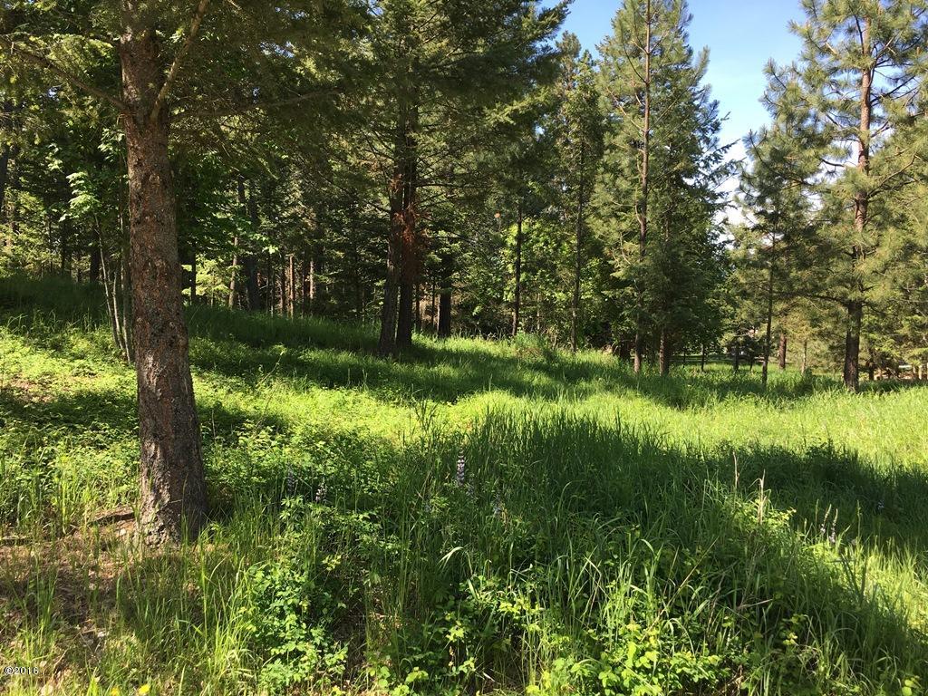 Nhn Westview Drive, Bigfork, MT 59911